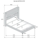 Lucia Wingback Bed