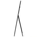 Windrose Standing Mirror with LED Lighting