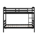 Lani Twin/Twin Bunk Bed