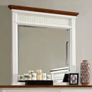 Galesburg Mirror