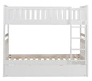 Galen Twin Trundle in White B2053W-R