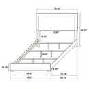 Marceline Panel Bed with LED Lighting