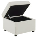 Winter Storage Ottoman